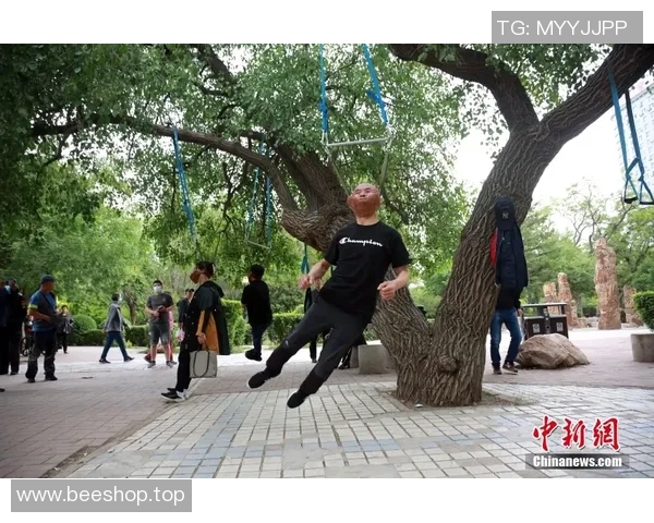极限运动新手指南从基础到高手的全面提升攻略
